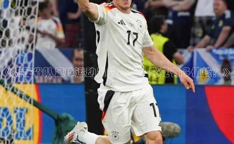 天辰平台官方网站入口汉得信息《揭秘省队足球运动员的身价：究竟有多值钱？》