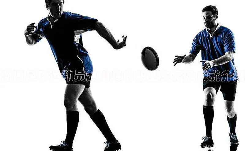 天辰平台登陆入口百度百聘淄博足球运动员赵山峰的职业生涯及成就介绍