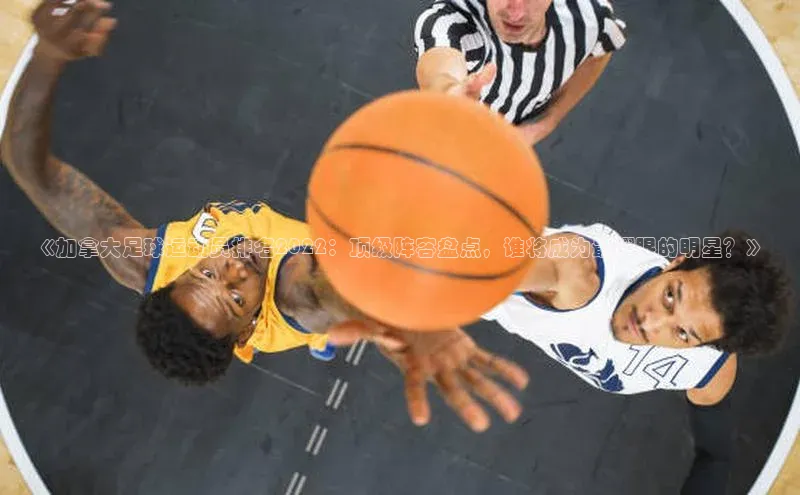 天辰登录平台官网同程《加拿大足球运动员排名2022：顶级阵容盘点，谁将成为最耀眼的明星？》