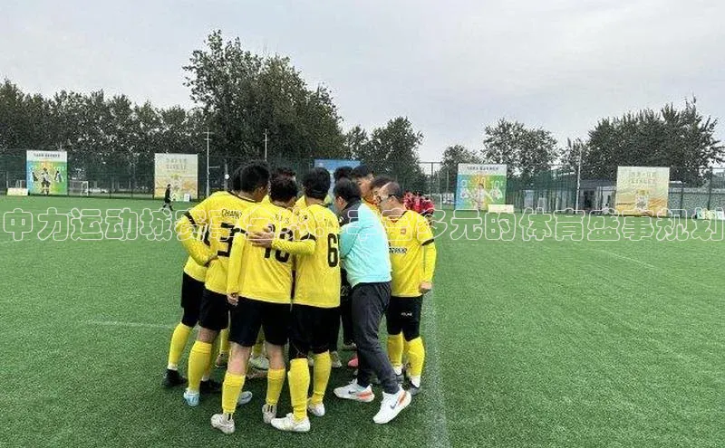 天辰平台登录地址百度 H5中力运动城赛事全览：丰富多元的体育盛事规划